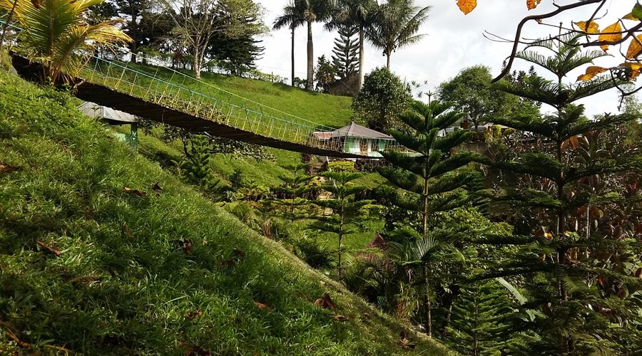 hanging bridge in JVR island in the sky