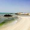 7 Things to do in Al-Rayyan That You Shouldn't Miss