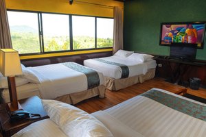 Room & Suite
