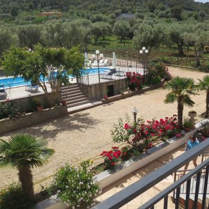 Swimmingpool in olive grove