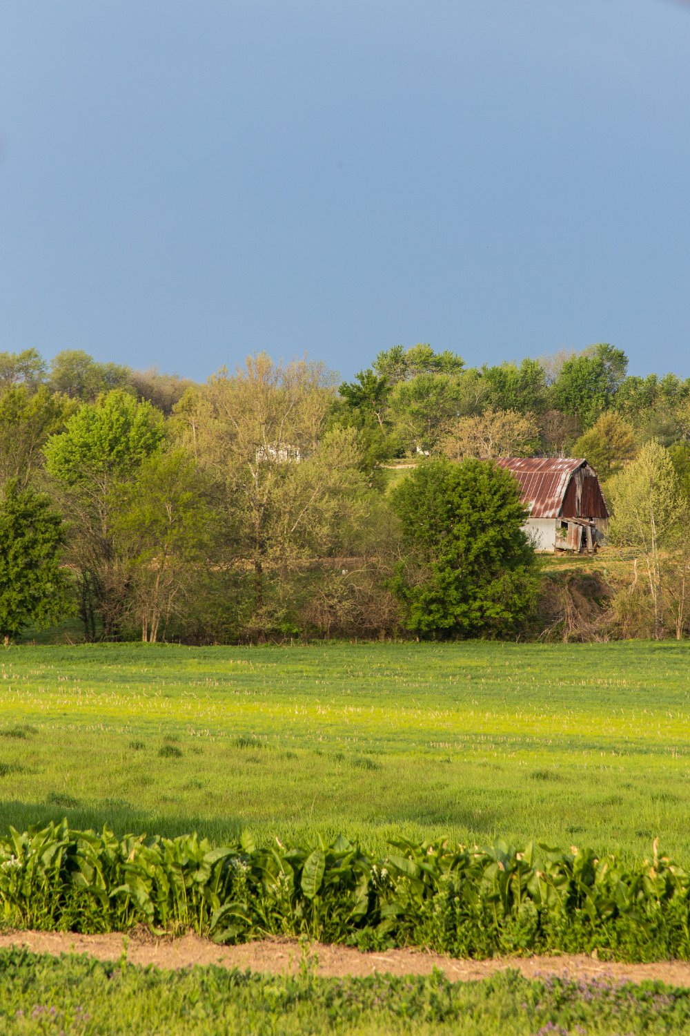 SYCAMORE VALLEY FARM BED & BREAKFAST (Brunswick, MO): Opiniones Y Precios