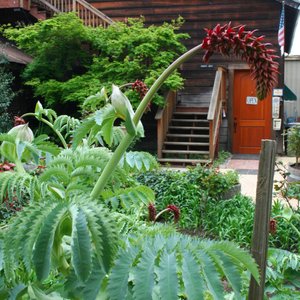 Enjoy our beautiful grounds when you visit!
