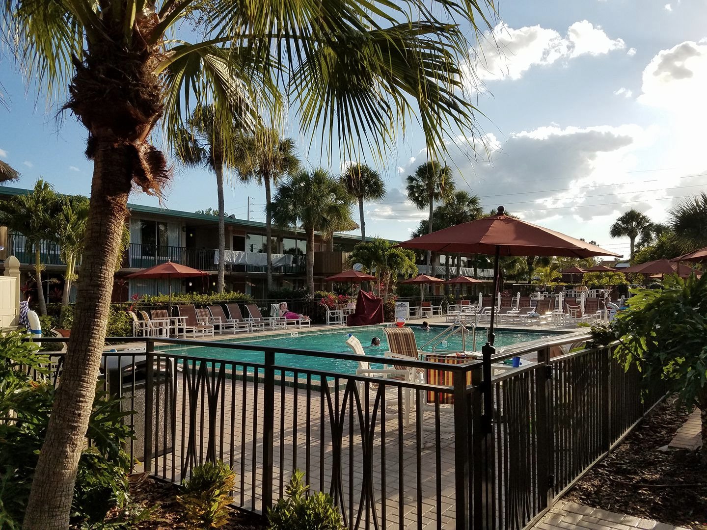 Hotel photo 6 of Magic Tree Resort.
