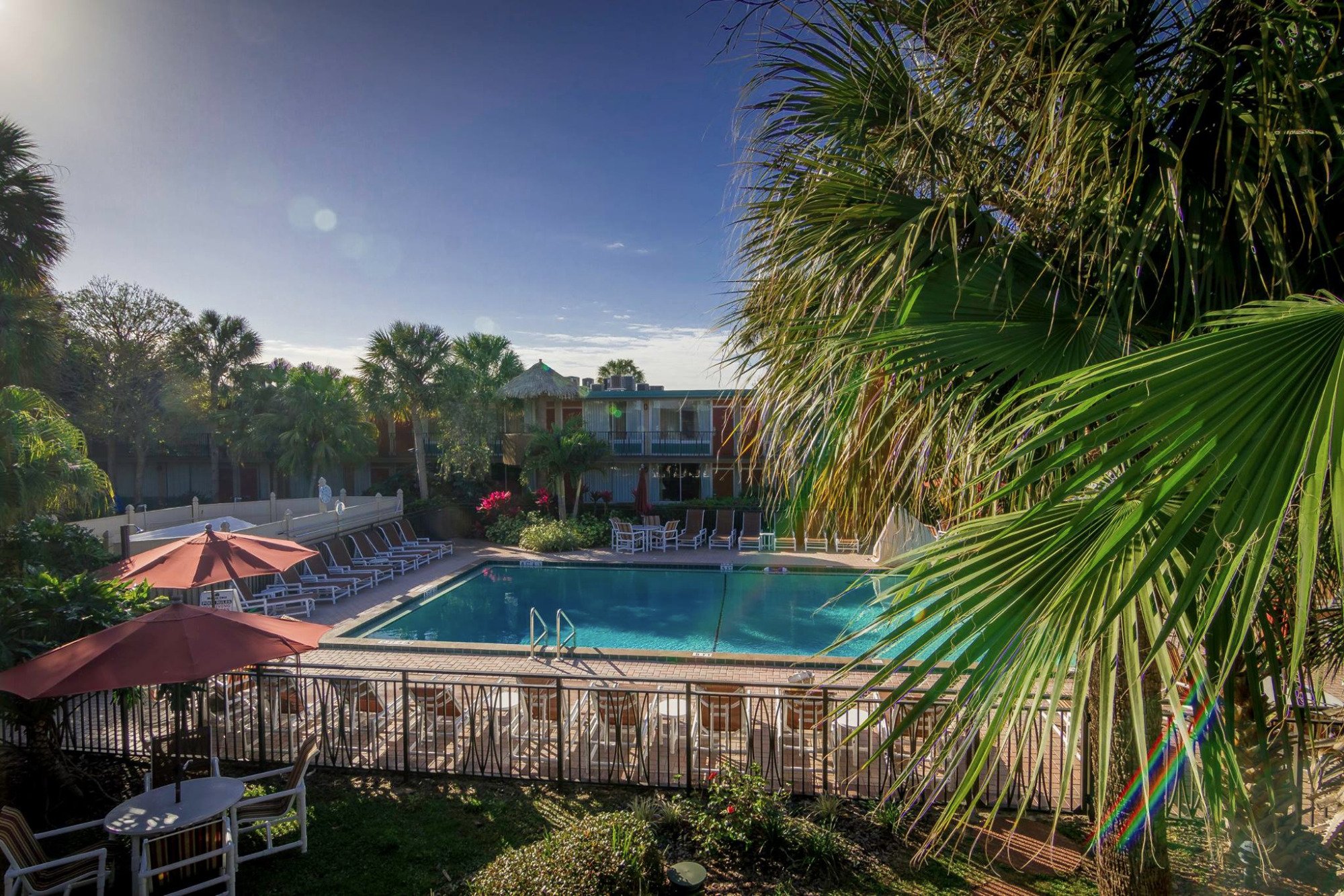 Hotel photo 5 of Magic Tree Resort.