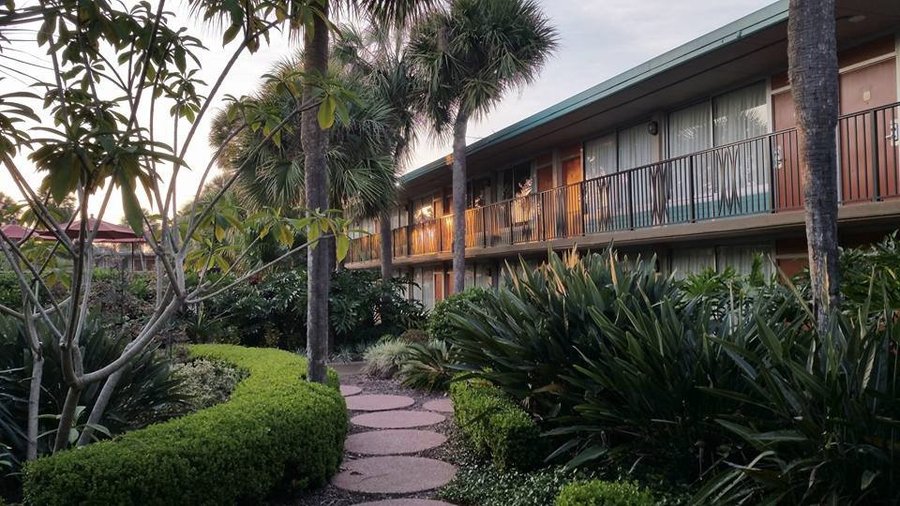 Magic Tree Resort Rooms Pictures Reviews Tripadvisor