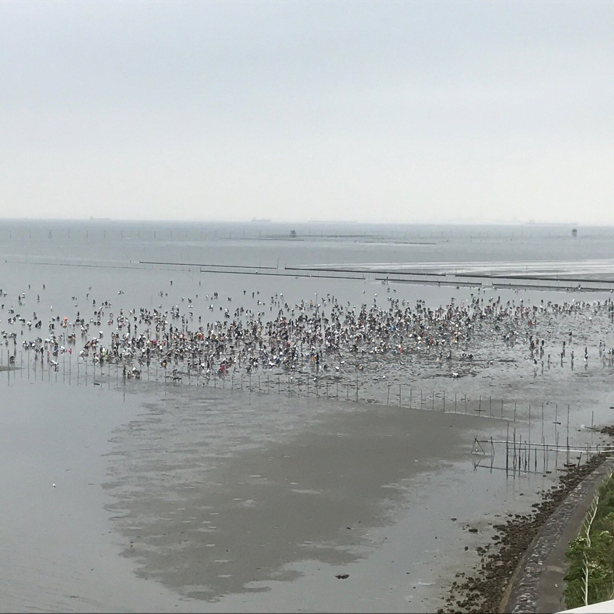 22年 木更津海岸潮干狩場 行く前に 見どころをチェック トリップアドバイザー
