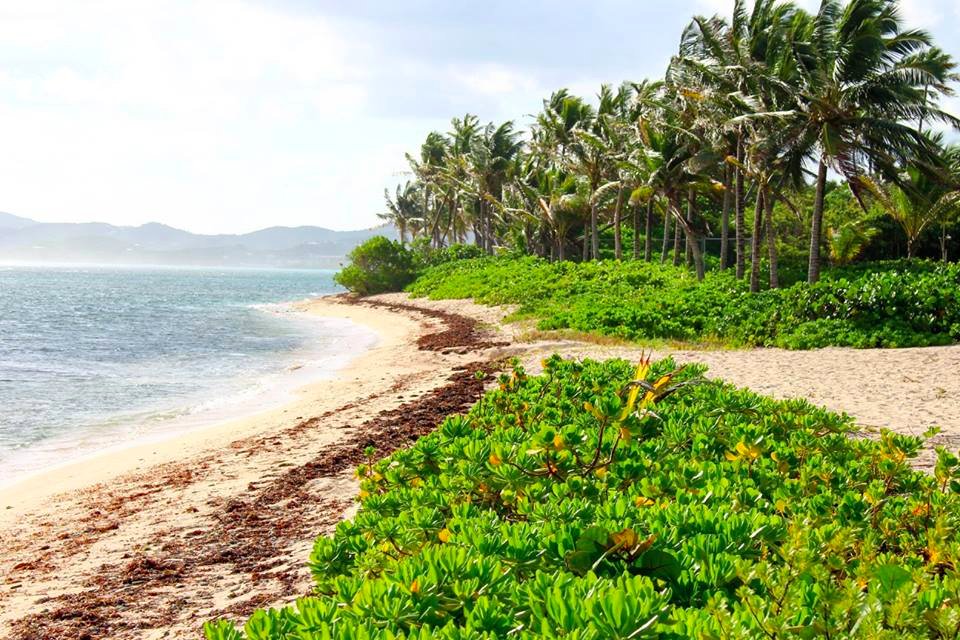 Discover the Blissful Beauty of Pelican Cove Beach, St. Croix