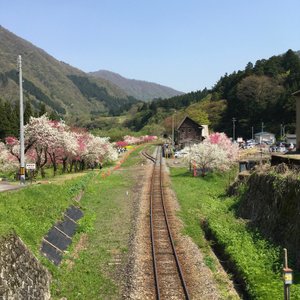勝原駅周辺のゴールデンウィーク風景です。

普段は静かな集落とは思いますが、当日はとんでもない車が路上駐車をしていました。ほとんどが福井ナンバーなので全国的には知られていないと思いますが、素晴