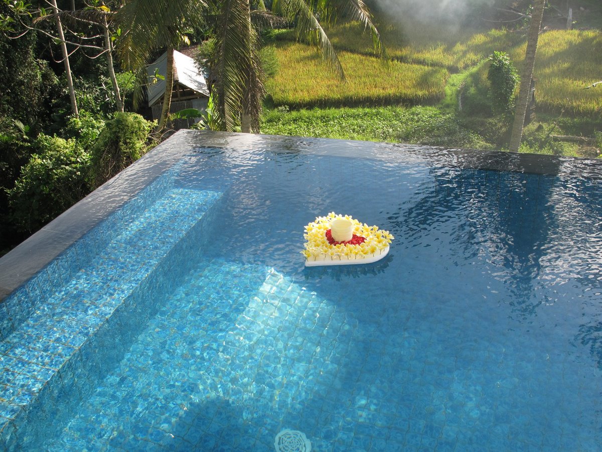 River Sakti Resort Pool: Pictures & Reviews - Tripadvisor