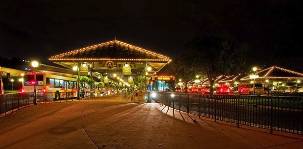 Did You Hear That Park to Park Buses Are Back at Disney World?