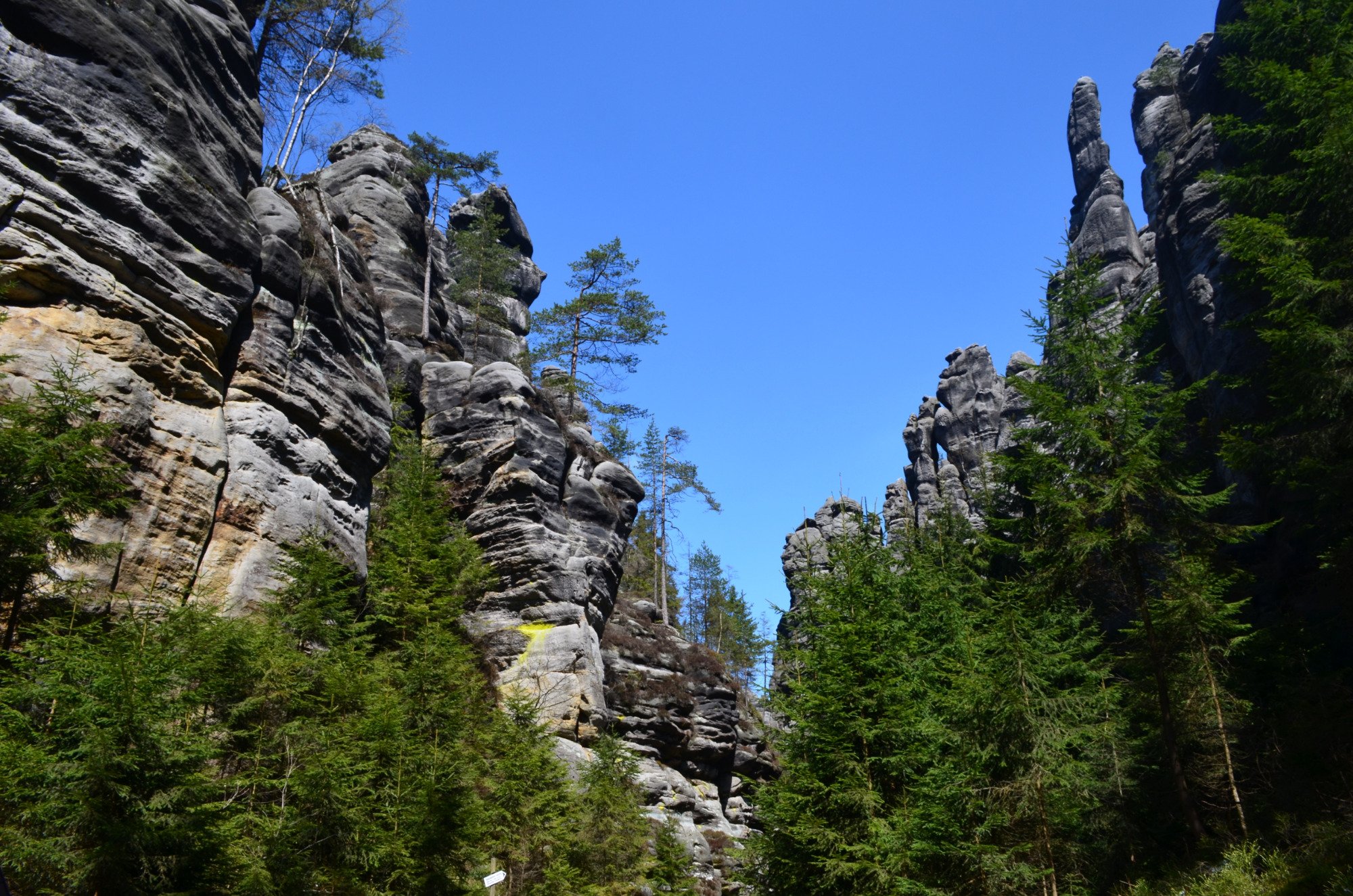 THE 5 BEST Czech Republic National Parks Updated 2024   Teplickie Skaly 