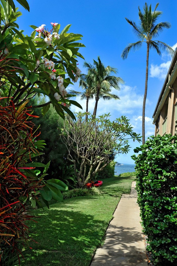 Kihei Kai Oceanfront Condos Beach: Pictures & Reviews - Tripadvisor