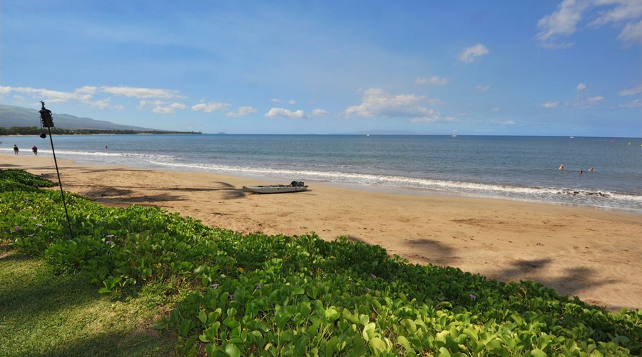 The beach in front of Kihei Kai