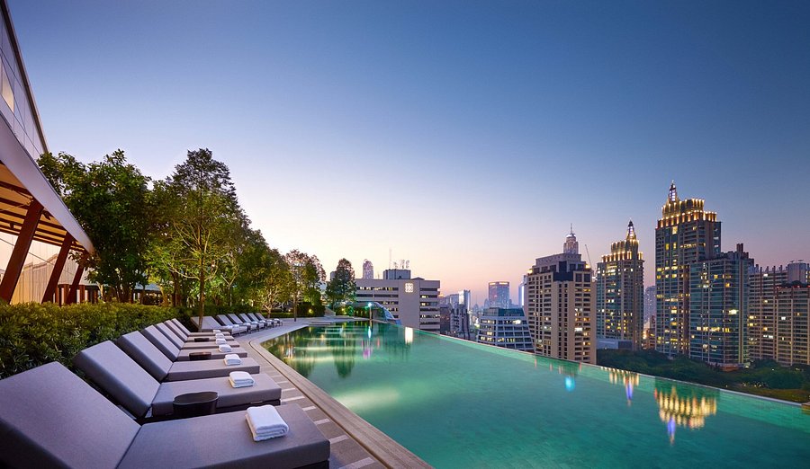 パーク ハイアット バンコク Park Hyatt Bangkok バンコク 21年最新の料金比較 口コミ 宿泊予約 トリップアドバイザー パーク ハイアット バンコク Park Hyatt Bangkok バンコク 21年最新の料金比較 口コミ 宿泊予約 トリップアドバイザー