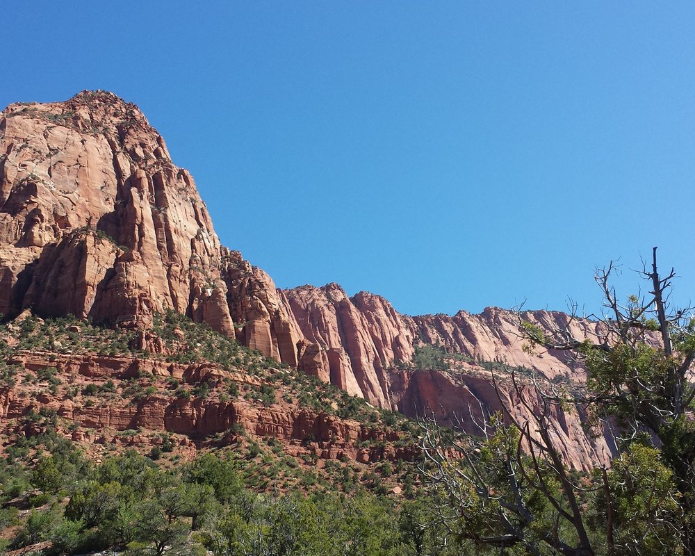 THE 10 BEST Zion National Park Hiking Trails (Updated 2024)