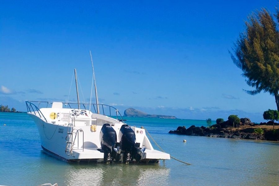Divesail Travel image