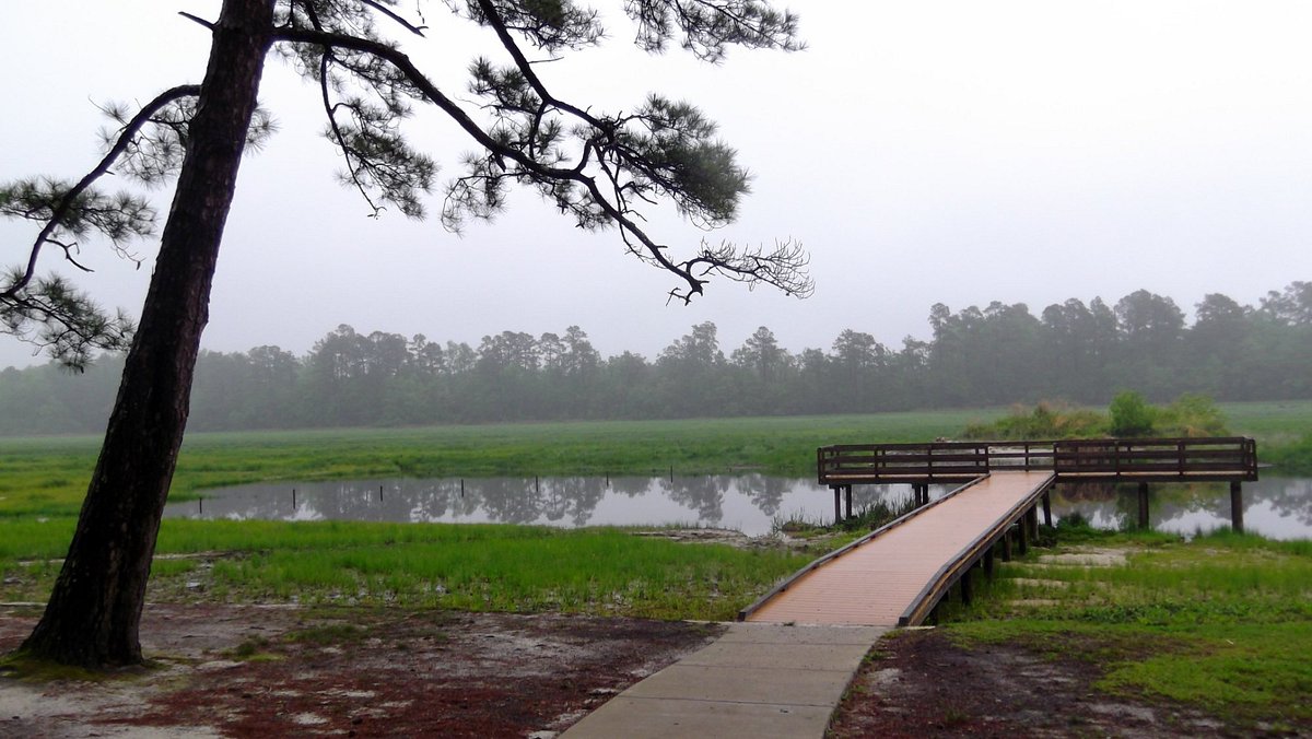 OUTDOORS COLUMN: There is nothing like relaxing with a little pond fishing, Sports