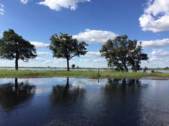 thebe river safaris