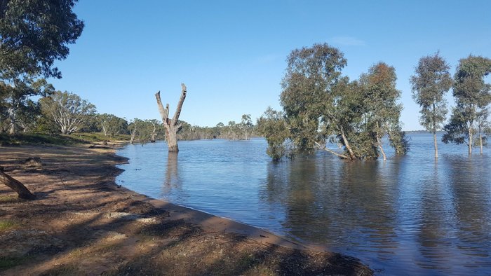 LEDCOURT WATERS - Guest house Reviews (Lake Lonsdale, Australia)