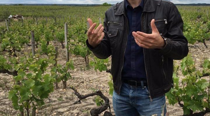 visites dans les vignes de Sauternes