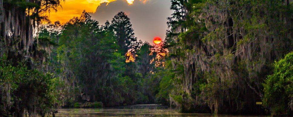 Sundet in the Old swamp