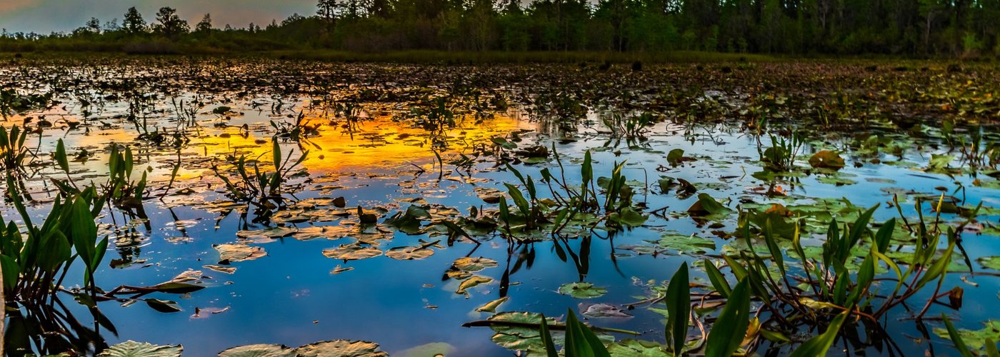 Sunset over the Prairie