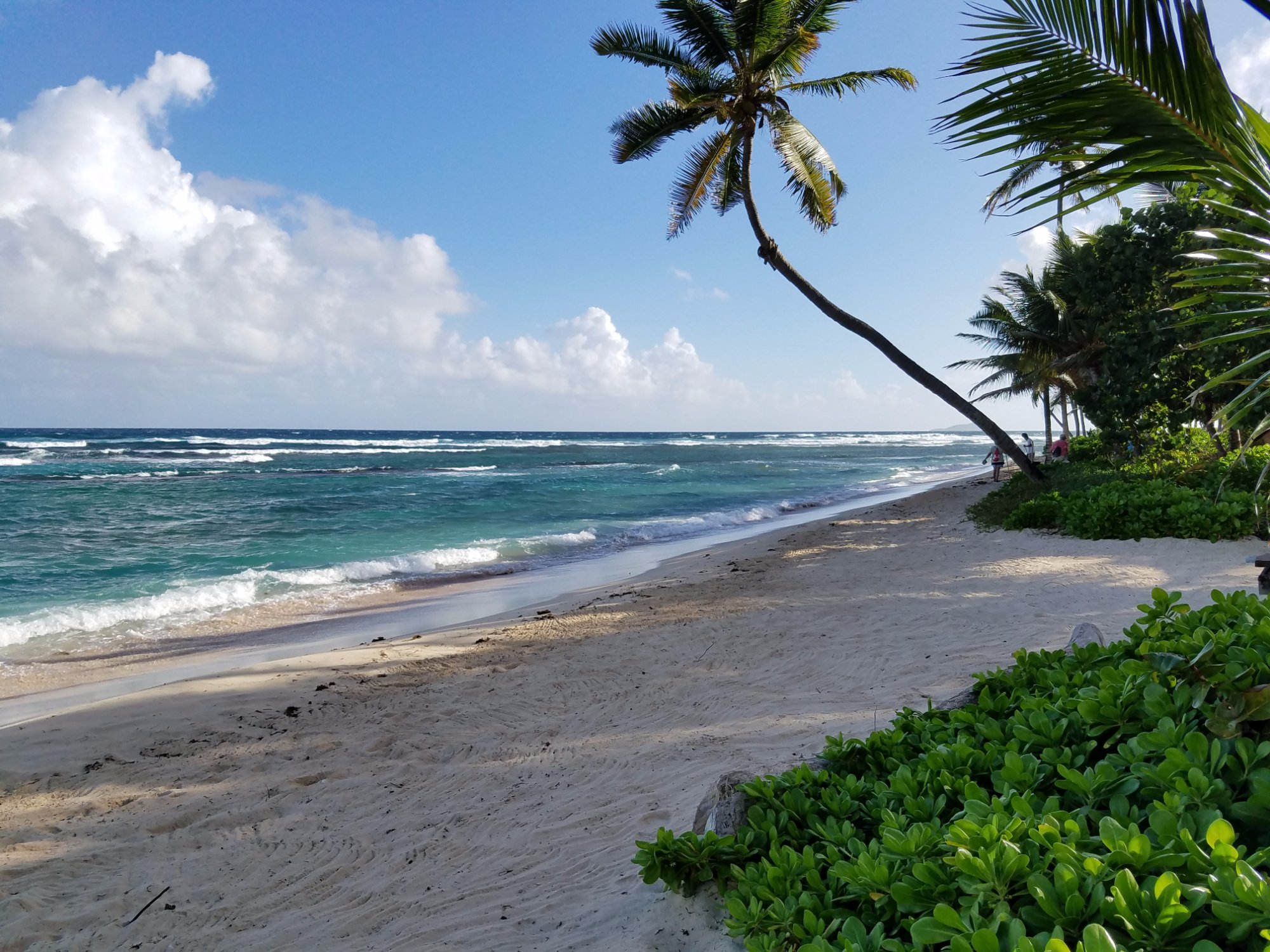 Discover the Blissful Beauty of Pelican Cove Beach, St. Croix