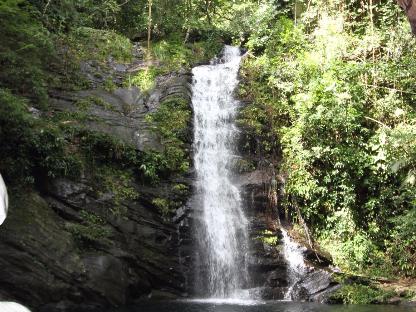 Truly Wild Belize (Placencia) - All You Need to Know BEFORE You Go