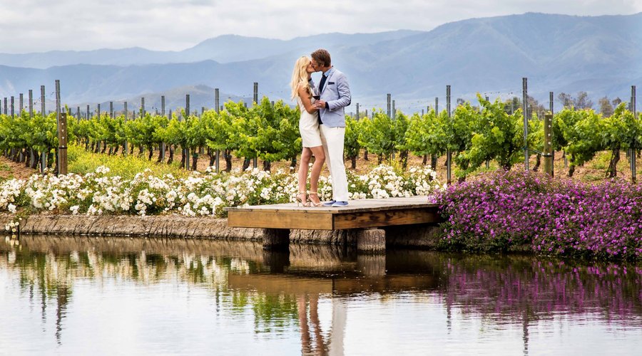 Wine Country Romance at Ponte Vineyard Inn