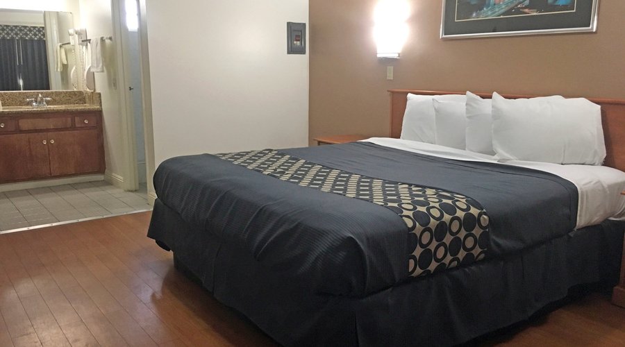 One King Bed