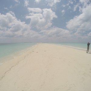 One of the beautiful isolated sand bar islands you can experience.