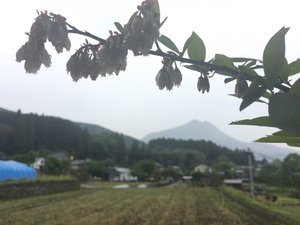 旅行者の写真
