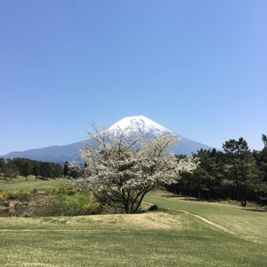 22年 朝霧ヴィーナスガーデンゴルフコース 行く前に 見どころをチェック トリップアドバイザー