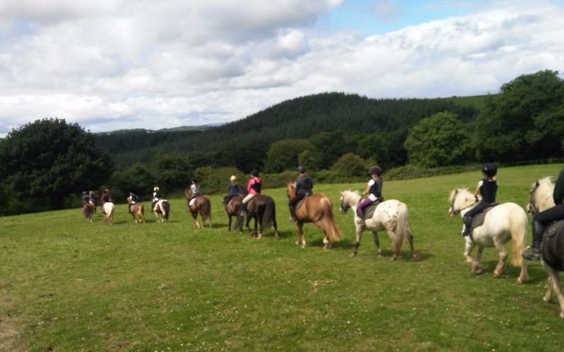 Lee Valley Equestrian Centre - Crookstown - Lee Valley Equestrian Centre의 리뷰 - 트립어드바이저