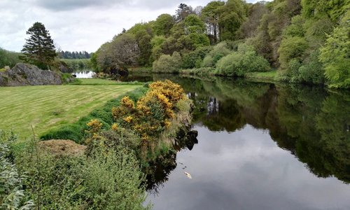 Crookstown, Irland Tourismus in Crookstown Tripadvisor
