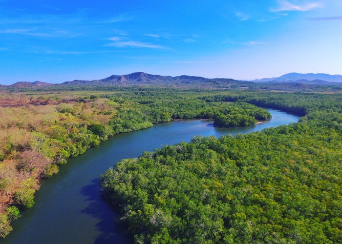 Drone View from the Estuary in Playa Grande National Park 