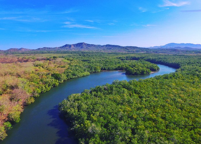 Drone View from the Estuary in Playa Grande National Park 