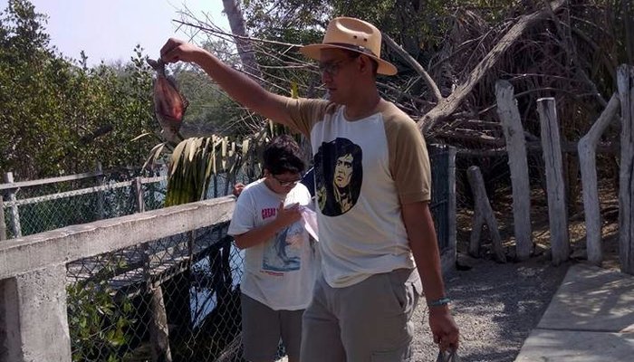 Ve a la cooperativa de pescadores por los bocadillos para estos animalitos