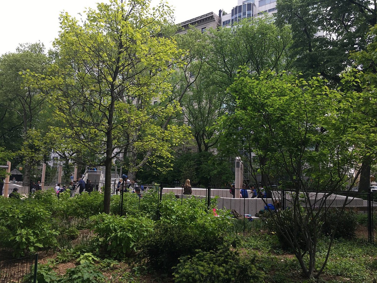 East 72nd Street Playground, Нью-Йорк: лучшие советы перед посещением -  Tripadvisor