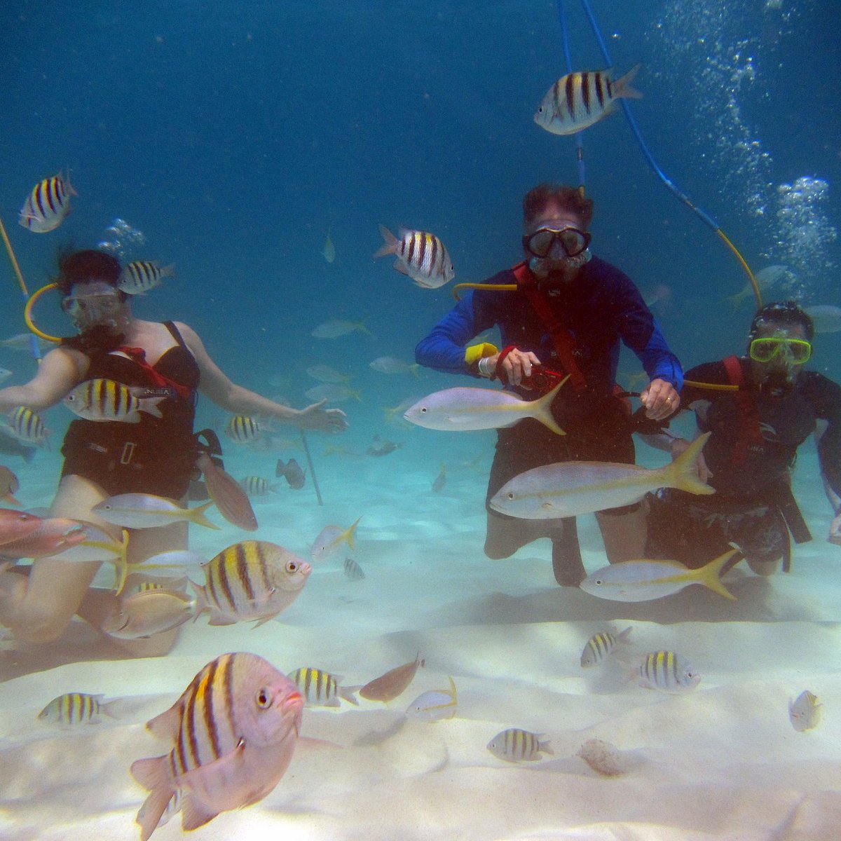 A diver finds a bag of bones on the Coco beach in Badalona