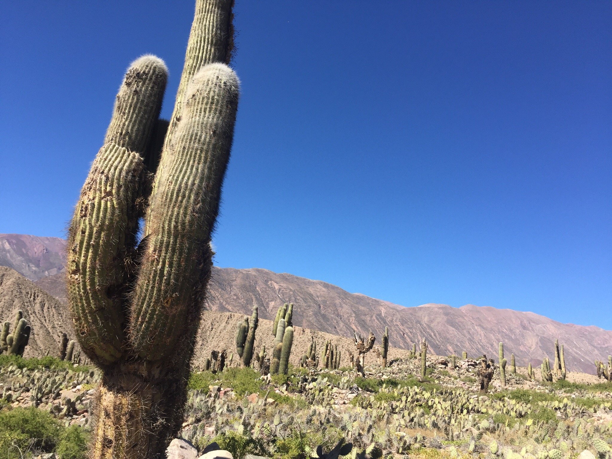 Turismo La Posada Day Tours (2025) - All You Need to Know BEFORE You Go (with Reviews)