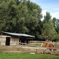 depaysan