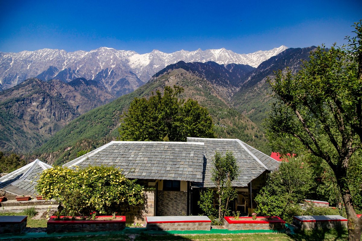 Udechee Huts, hotel in Dharamsala