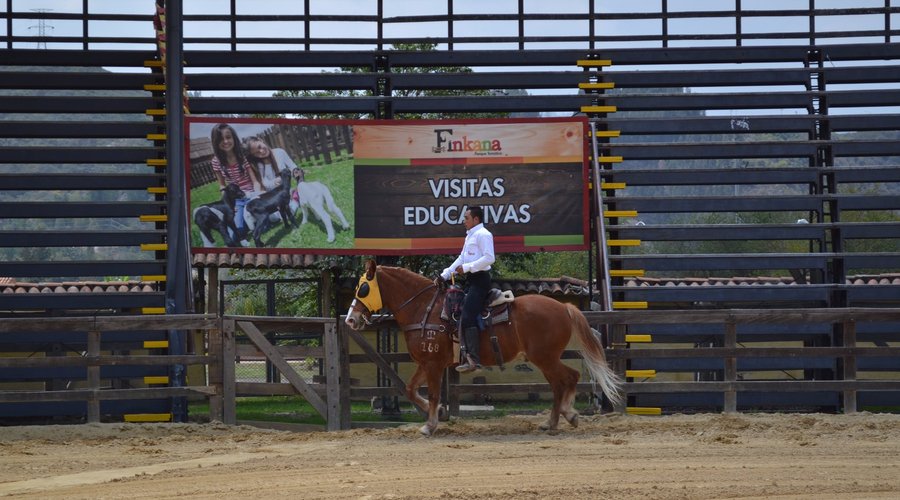 Shows Ecuestres