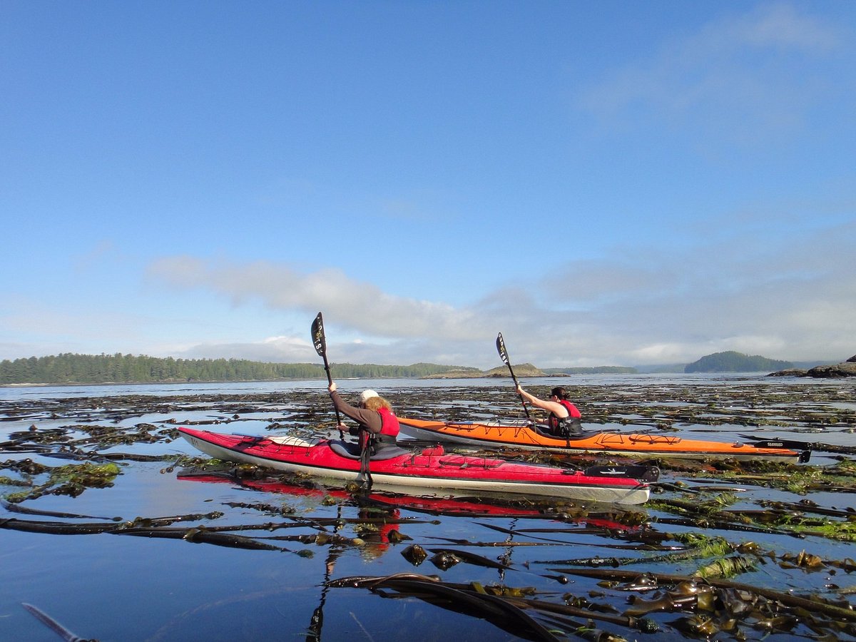 kayak trip tofino