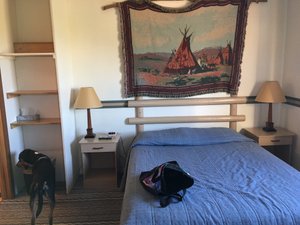 Room & Suite