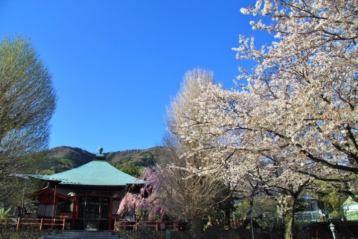 Matsuda Herb Garden (2025) - All You Need to Know BEFORE You Matsuda Herb Garden (2025) - All You Need to Know BEFORE You