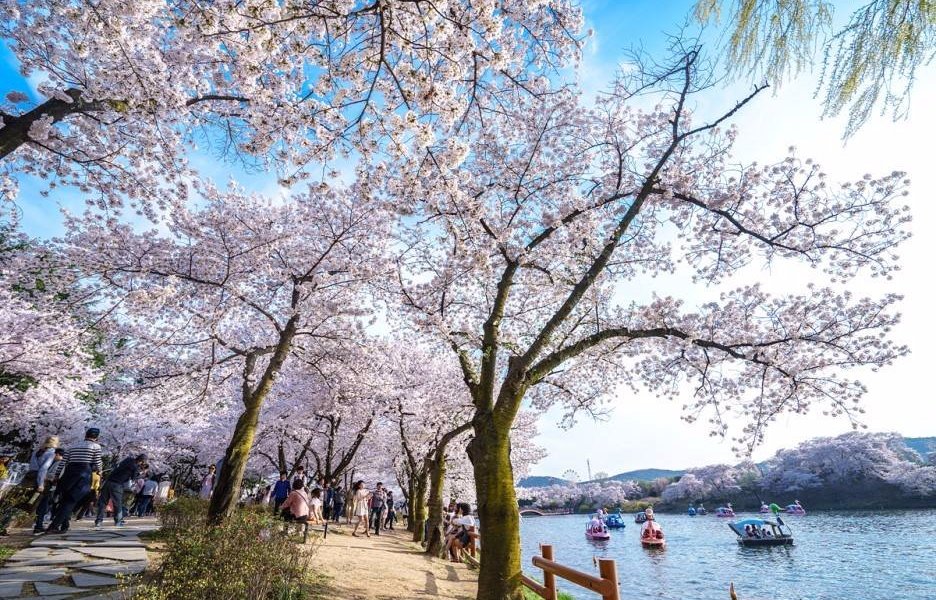 보문 관광 단지 - 경주 - 보문 관광 단지의 리뷰 - 트립어드바이저