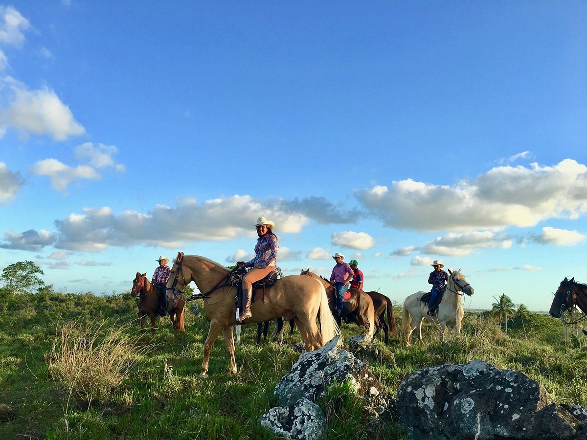 Cana Tequila, Пунта-Кана: лучшие советы перед посещением - Tripadvisor