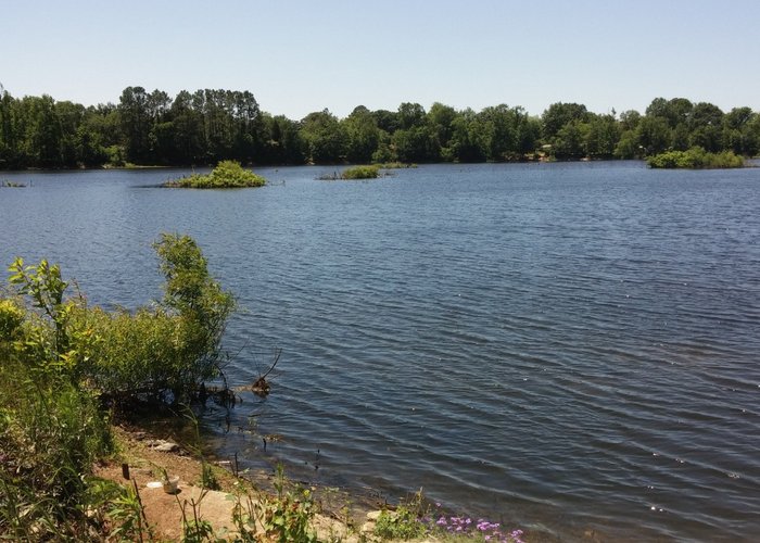Nice place to fish